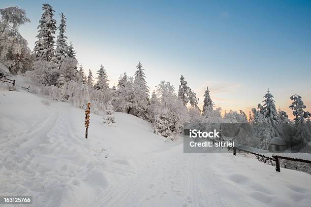 Piękny Zimowy Wschód Słońca Zdjęcie W Góry - zdjęcia stockowe i więcej obrazów Bez ludzi - Bez ludzi, Biały, Drzewo