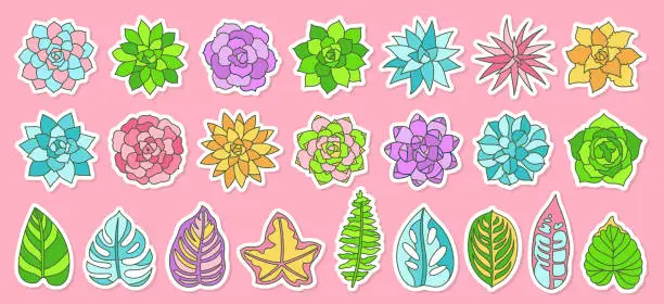 Vector illustration of Succulent houseplant cartoon sticker set scrapbook label plant tropical jungle badge diary planner