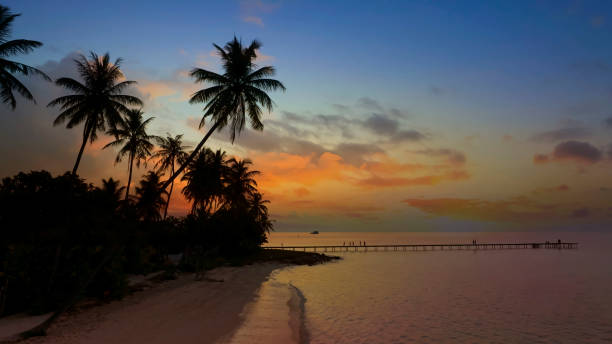 istock Summer tropical with colorful theme as palm trees on the beach background 1631286515