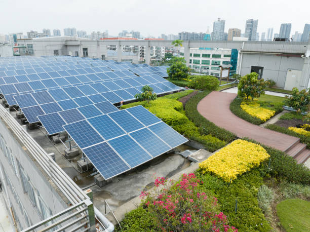 istock The Garden Harnesses Solar Power 1631293596