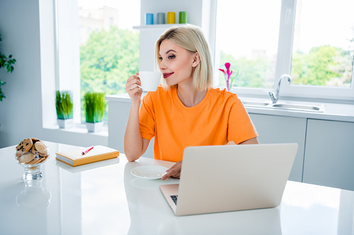 Photo of positive lady sitting dining room start early morning with coffee cup browsing web netbook.