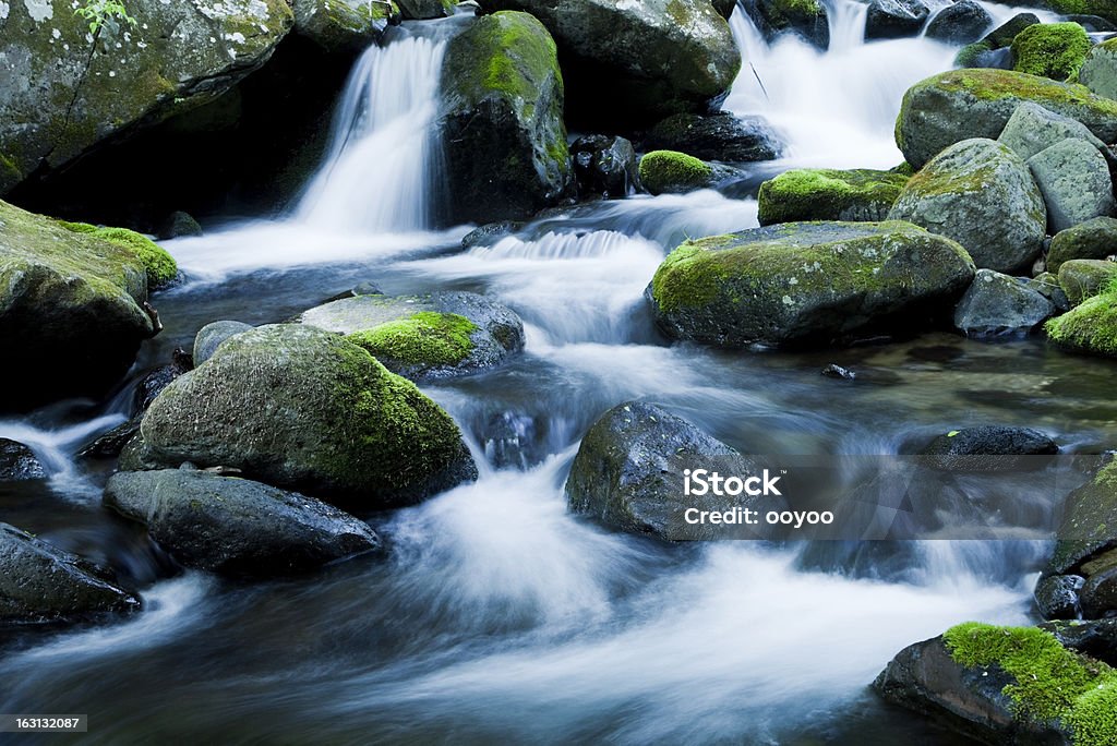 Mountain Stream - Lizenzfrei Wasser Stock-Foto