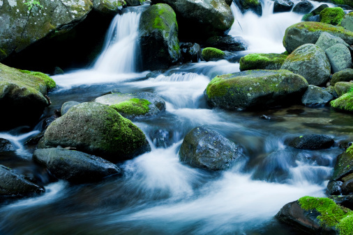 mountain stream flows through mossy rocks