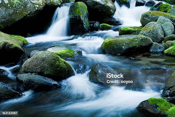 Fluxo De Montanha - Fotografias de stock e mais imagens de Água - Água, Corrente - Água corrente, Cascata
