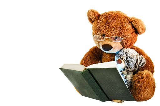 This is a photo of a teddy bear with glasses and a little bear reading a book.
He has brown fur. The book is green with white pages.
Background white isolated
