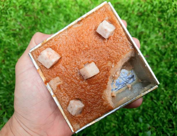 istock Thai Custard Cake with Taro Topping - Thai sweet dessert. 1631328623