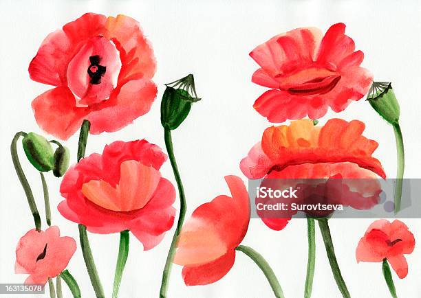 Aquarell Rot Poppies Stock Vektor Art und mehr Bilder von Aquarell - Aquarell, Baumblüte, Blume