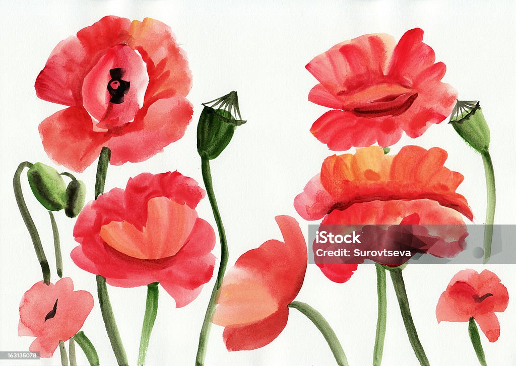 水彩画のレッド poppies - イラストレーションのロイヤリティフリーストックイラストレーション