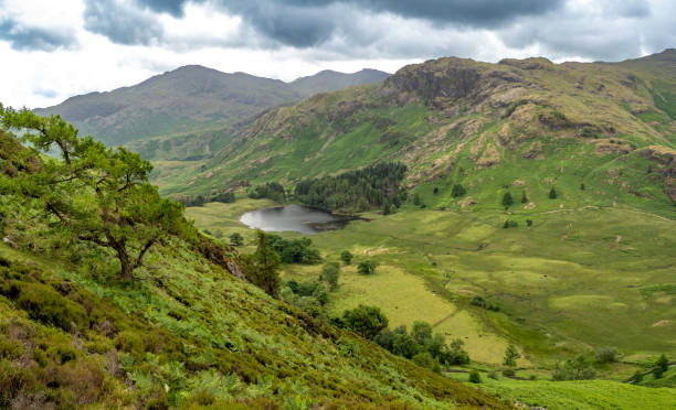 istock View of Blea Tarn from Lingmoor Fell, England 1631368705
