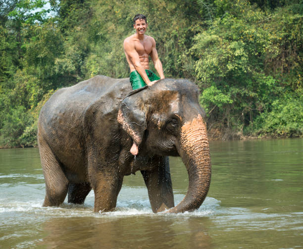 istock Man riding on an Elephant, Tropical Rain Forest 163138373