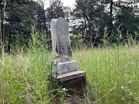 An old headstone tilted in a meadow