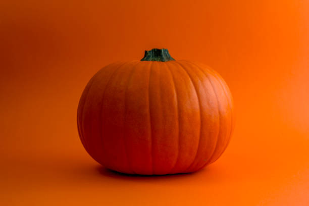 istock Ripe orange pumpkin on an orange background. 1631404136