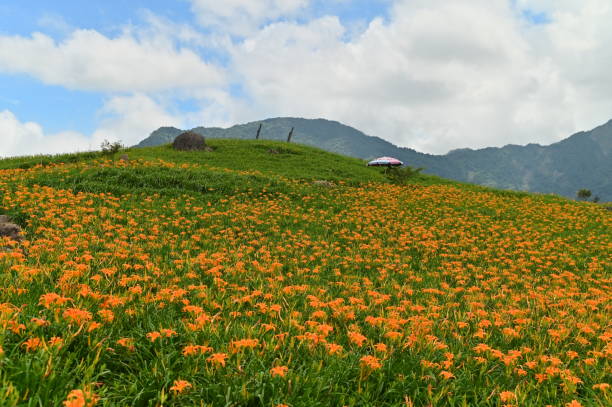 istock Hualien Liushishi Mountain - Taiwan 1631405201