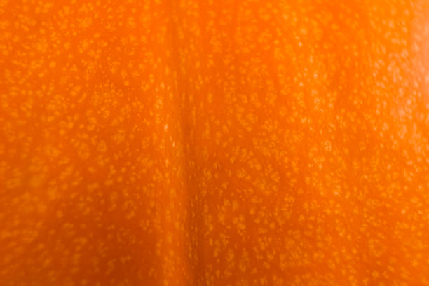 Texture of ripe orange pumpkin. Macro. Abstract natural background.
