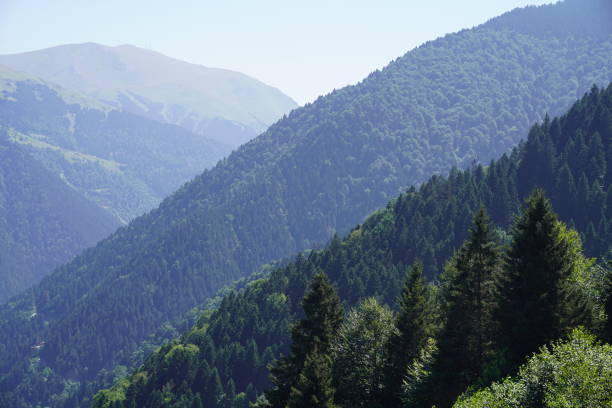 istock A beautiful valley landscape in nature. Aerial view. 1631417192