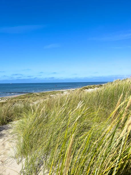 istock North Sea beach with sand dunes 1631449074