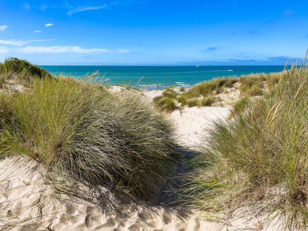 North Sea beach with sand dunes