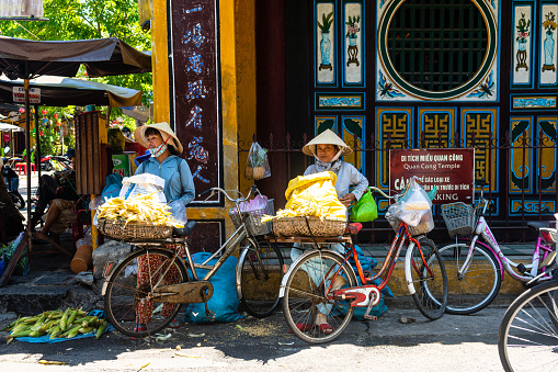 hoi an, vietnam. 16th june, 2023: vietnamese woman selling fresh fruit intheir wicker baskets at hoi an streets