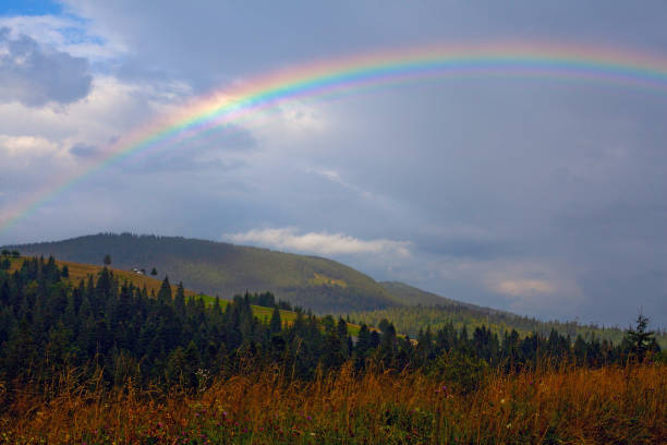 istock Bright colourful rainbow in Carpathian mountains, Ukriane 1631479353