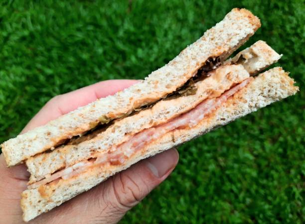 istock Hand holding Ham and vegetable Sandwich - green background. 1631479366