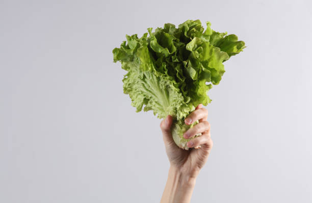 istock Woman's hand holding sheets of fresh lettuce on gray background 1631482032