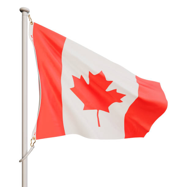 istock The flag of Canada flutters in the wind. On a white background. 1631484358