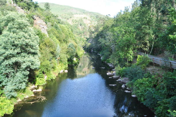istock View on the river Paiva, Portugal. 1631498049