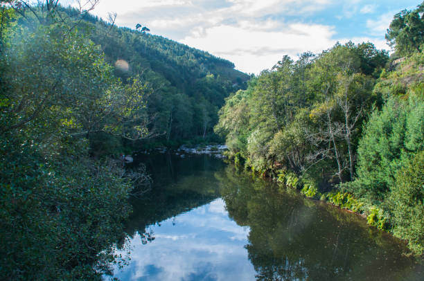 istock View on the river Paiva, Portugal. 1631498053