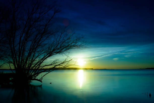 Sunset at the Ketelmeer lake in Flevoland with  willows trees on the shore during a cold winter evening.