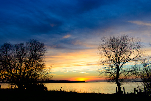Sunset at the Ketelmeer lake in Flevoland with  willows trees on the shore during a cold winter evening.