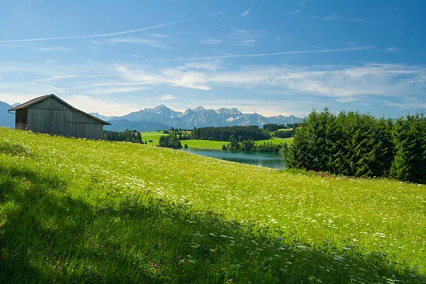 Near lake Forggensee in Bavaria - Germany