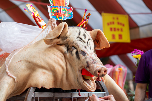 In the Chinese Ghost Festival, the Yuan Purdue believers use great god pigs to sacrifice ghosts and gods (2022 08 12 Taipei, Taiwan)Chinese characters: the whole family is safe