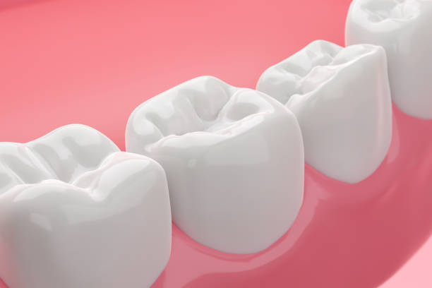 istock Healthy gums with beautiful white teeth 1631571426