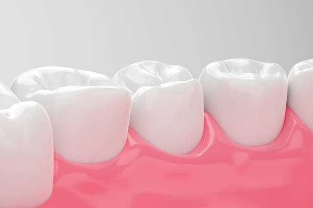 beautiful healthy teeth and gums - human teeth defending dental equipment brushing imagens e fotografias de stock