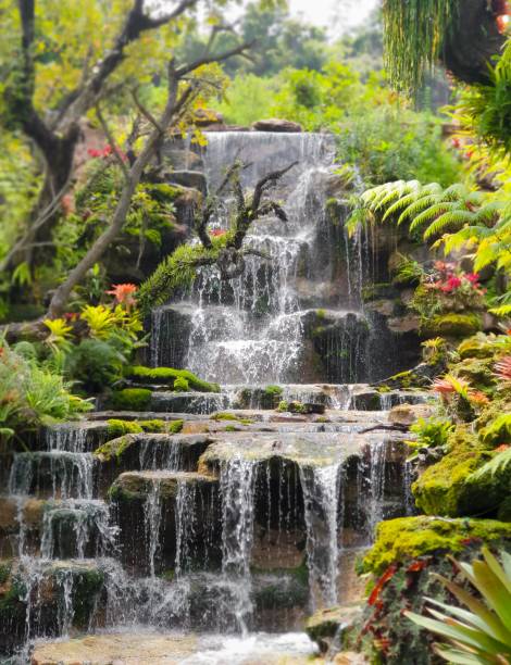 istock Beautiful waterfall view at Sakon Nakhon, Thailand 1631584186