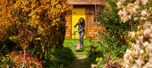 istock young woman mowing the lawn 1631589836