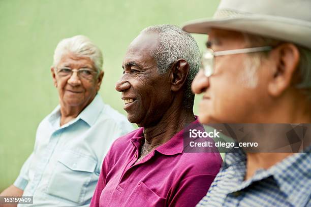 Foto de Grupo De Idade Preto E Caucasiana Homens Conversando No Parque e mais fotos de stock de Terceira idade