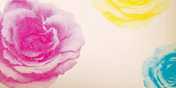 Vector illustration of Rose flowers halftone screen CMYK colors transparent with riso print effect vector illustration on old paper background have blank space. Valentine's day greeting card template.