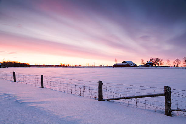 ferme au crépuscule - farm winter field fence photos et images de collection