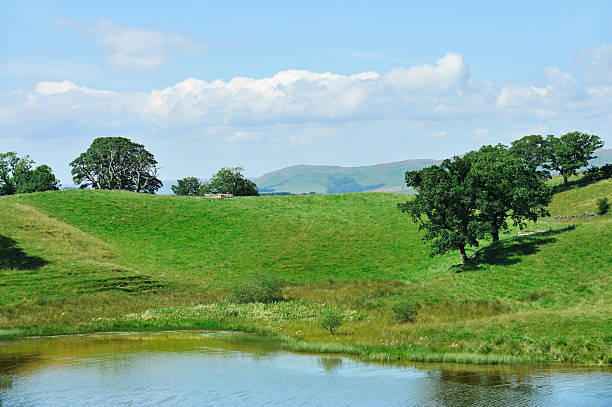 A rural part of of Dumfriesshire in south west Scotland.\u2028 file_thumbview_approve.php?size=1&id=14506027\u2028 file_thumbview_approve.php?size=1&id=14459747\u2028 file_thumbview_approve.php?size=1&id=13957070\u2028 file_thumbview_approve.php?size=1&id=13956165\u2028 file_thumbview_approve.php?size=1&id=13433758\u2028 file_thumbview_approve.php?size=1&id=12528472\u2028 file_thumbview_approve.php?size=1&id=12382318\u2028 file_thumbview_approve.php?size=1&id=12323527\u2028 file_thumbview_approve.php?size=1&id=11976984\u2028 file_thumbview_approve.php?size=1&id=7083804