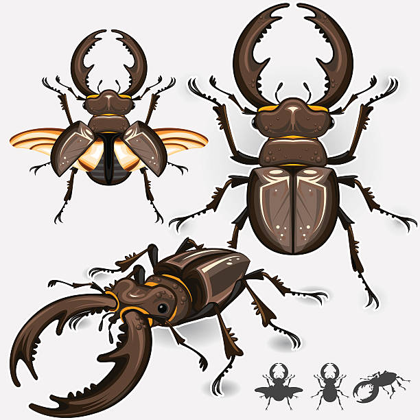 クワガタムシ昆虫 - insect aphid stag beetle silhouette点のイラスト素材／クリップアート素材／マンガ素材／アイコン素材