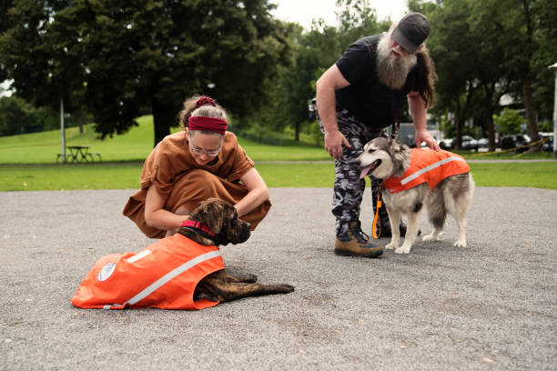 istock Woman living with visual disability with service dog in training. 1631659894