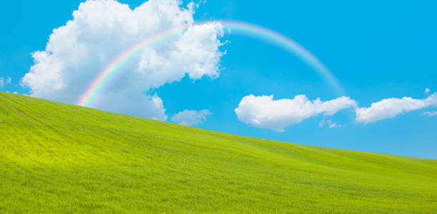 istock Green grass and blue sky with white clouds 1631668189