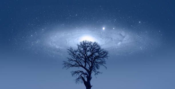 istock Lone dead tree with amazing Andromeda  Galaxy and Aurora borealis 1631672015
