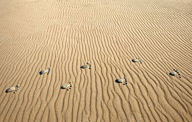 empreinte de sable et vagues - sahara desert coastline wind natural pattern photos et images de collection