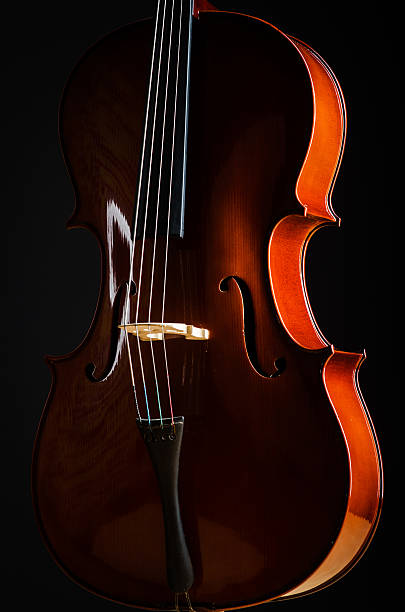 istock Violin in dark room  - music concept 163169673