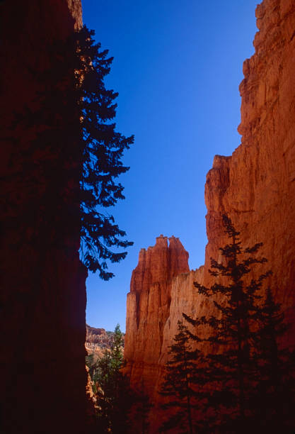 Bryce Canyon National Park, a sprawling reserve in southern Utah, is know for crimson-colored hoodos, which are spire-shaped rock formations.  Despite the name, Bryce Canyon is not a canyon, but a collection of giant natural amphitheaters.