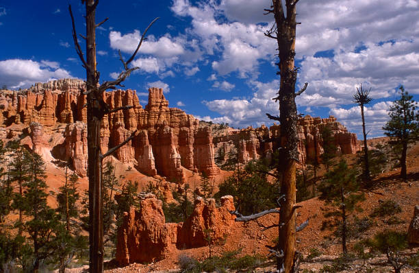 istock Fairyland Trail, Bryce Canyon National Park, Utah 1631711105