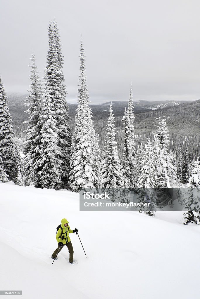 Camminate con le racchette da neve montana - Foto stock royalty-free di Albero