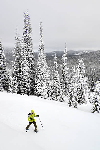 istock snowshoeing montana 163171718